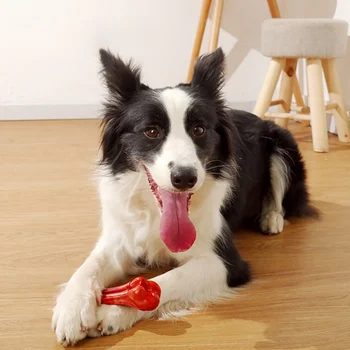 Câine De Companie Frământa Mestecați Jucării Pentru Agresivă Rozatoare Durabil Os Model Catelus Jucării Non-Toxice De Grad Alimentar Câine Jucărie Pentru Mediu Pentru Câini De Talie Mare